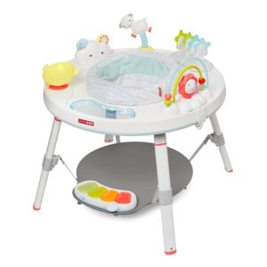 Skip Hop Baby Bouncer